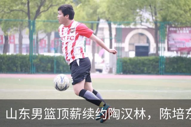 山东男篮顶薪续约陶汉林，陈培东续约留队，高诗岩或拿不到顶薪