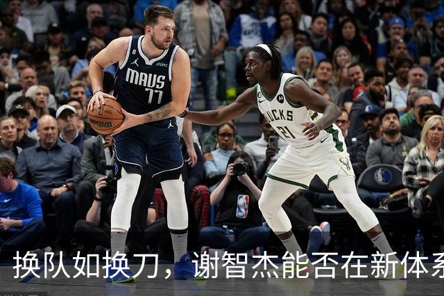 换队如换刀，谢智杰能否在新体系兑现天赋？